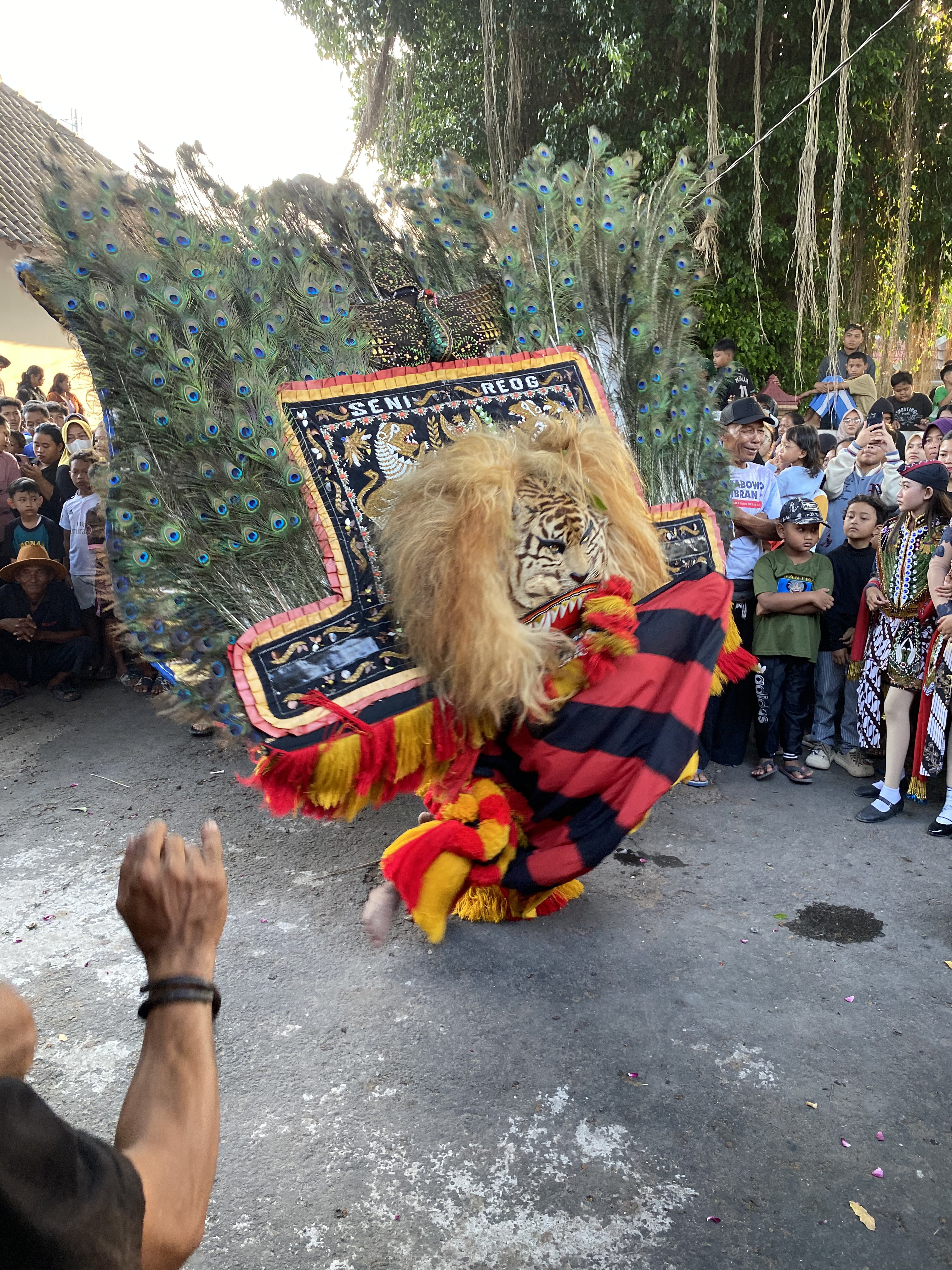 Reog